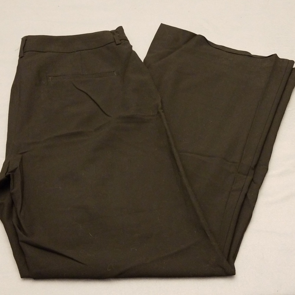 Express dress pant
